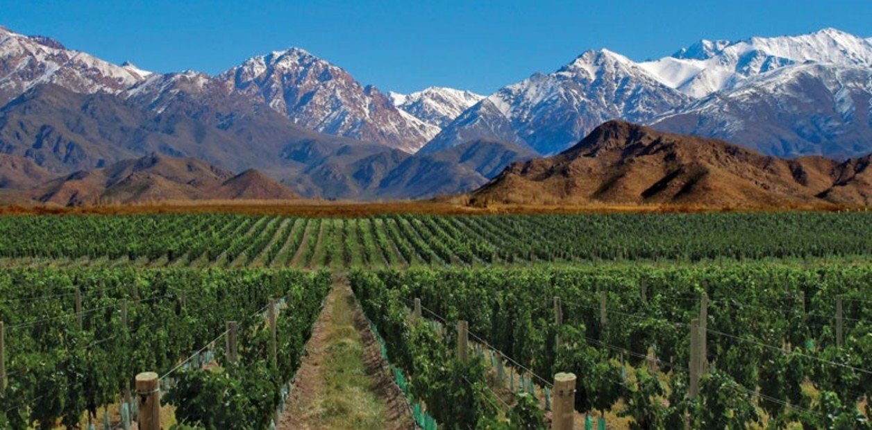 Las diez cosas que deberías saber del sector del vino argentino.